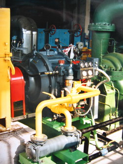 ���������� UCD-1000